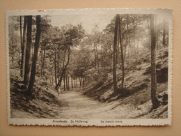 Averbode - Le Chemin Creux - Scherpenheuvel-Zichem