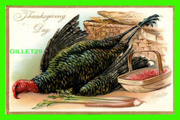 THANKSGIVING DAY - TURKEY - EMBOSSED - TRAVEL IN 1910 - DESIGN BY R. T. WEALTHY - RAPHAEL TUCK & SONS - - Thanksgiving