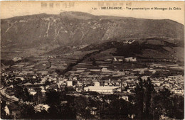 CPA BELLEGARDE Vue Panoramique Et Montagne Du Crédo (382257) - Bellegarde-sur-Valserine