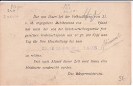 REICH - 1915 - CARTE De RESTRICTION De FARINE - 20g Par PERSONNE Et Par JOUR - Sonstige & Ohne Zuordnung