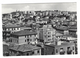 12.706 - ANCONA PANORAMA 1950 CIRCA - Ancona