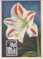 BELGIQUE ( CM ) YT  963  23/04/1955   Maximum Card , 2 Scans - 1951-1960