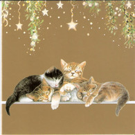 4 Chats  - Cats  - Katzen-  4 Poezen Slapen - Katzen