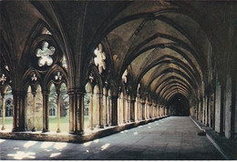 Cloisters Salisbury Cathedral - Unused Postcard - Wiltshire - J Arthur Dixon - Salisbury