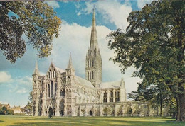 West Front Salisbury Cathedral - Unused Postcard - Wiltshire - J Arthur Dixon - Salisbury