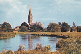Salisbury Cathedral & River - Unused Postcard - Wiltshire - J Arthur Dixon - Salisbury