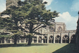 Salisbury Cathedral  - Unused Postcard - Wiltshire - J Arthur Dixon - Salisbury