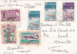 Saint-Pierre-et-Miquelon : Divers Sur Carte Postale De Miquelon - Lettres & Documents