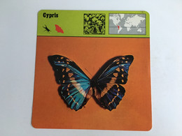 Papillon Butterfly Schmetterling Farfalla Mariposa 3d Card - Papillons