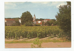 17 étaules Vue Générale Vignes Et église Ed Cap Théojac - Other & Unclassified