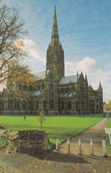 Salisbury Cathedral - Wiltshire - Unused Postcard - - Salisbury