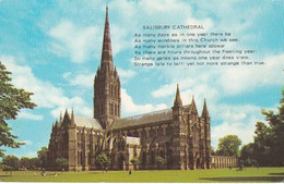 Salisbury Cathedral Verse Card - Wiltshire - Unused Postcard - - Salisbury