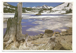 AA4159 California - Yosemite National Park - Tioga Lake In The Late Spring / Non Viaggiata - Yosemite