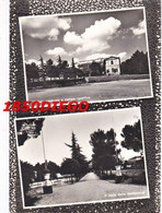 IESI - COLLEGIO PERGOLESI - MULTIVEDUTE F/GRANDE VIAGGIATA 1966 ANIMATA - Ancona