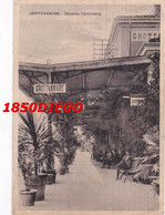 GROTTAMMARE - STAZIONE FERROVIARIA F/GRANDE VIAGGIATA 1935? ANIMAZIONE - Ascoli Piceno