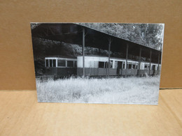BAYONNE (64) Photographie Format CPA Chemin De Fer BAB Tramway Rames à L'abandon 1959 - Bayonne
