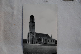 6114/ HALLE-HAL- Eglise St-Roch -St-Rochuskerk - Vilvoorde