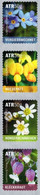Luxembourg - 2021 - Wildflowers - Mint Self-adhesive Coil Stamp Set - Ungebraucht