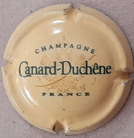 Plaque - Capsule De Muselet - Champagne Canard-Duchêne - Vert Et Or Sur Beige - Canard Duchêne