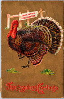 Thanksgiving Greetings With Turkey 1910 - Giorno Del Ringraziamento