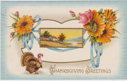 Thanksgiving Greetings With Turkey 1910 - Thanksgiving