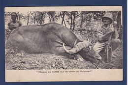 CPA Tchad Afrique Noire écrite Chasse Chasseur Buffle - Tchad