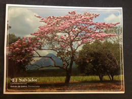 Postcard El Salvador, Izalco Volcano 2012 (  Crhistmas And International Rotary Stamps ) - El Salvador