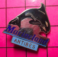 612a Pin's Pins / Beau Et Rare / THEME : ANIMAUX / ORQUE CETACE MARINELAND ANTIBES - Animales