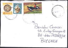 Mailed Cover With Stamps Fauna Birds 2007,  Art Ceramic Vessels 2005 2007 From Romania - Covers & Documents