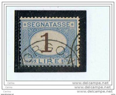 REGNO:  1870/74  TASSE  -  £. 1  AZZURRO  CHIARO  E  BRUNO  US. -  SASS. 11 - Taxe