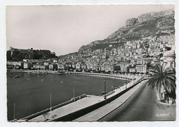 AK 013308 MONACO - Vue Sur La Condamine Et Le Palais Du Prince - La Condamine