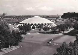 ROMA EUR - PALAZZETTO DELLO SPORT - AUTO - Stades & Structures Sportives