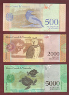 Sud America Lotto 4 Banconote Venezuela  3 Banknotes 500 2000 5000 Bolivares South America Animals - Otros – América