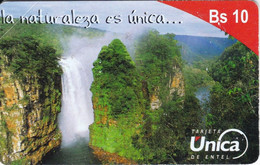 TARJETA DE BOLIVIA DE Bs 10 DE LA NATURALEZA ES UNICA (CATARATA-WATERFULL) MATE - Bolivie