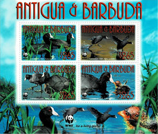 ANTIGUA & BARBUDA 2009 Mi 4702-4705 KLB TYPE II WWF BIRDS CARIBBEAN COOT MINT MINIATURE SHEET ** - Antigua Und Barbuda (1981-...)