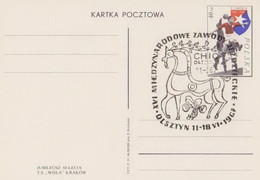 Poland Postmark D67.06.11 OlsA01: OLSZTYN Sport Equestrian Competitions Horse CHIO - Interi Postali