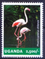 Uganda 2014 MNH, Chilean Flamingo, Water Birds, Flamingos - Flamingo