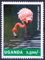 Uganda 2014 MNH, American Flamingo, Water Birds, Flamingos - Flamingo