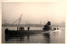 Sous Marin REQUIN * Carte Photo * Bateau Navire De Guerre Marine Française * Militaria * Photo BYTCHKOWSKY à Bordeaux - Submarines