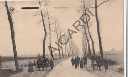 Postkaart/Carte Postale - KORTEMARK - Hoogledestraat  (A450) - Kortemark