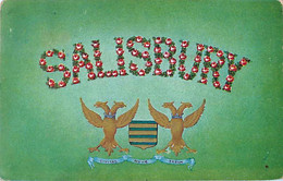 Cpa SALISBURY - Blason, Civitas Nova Sarum - Salisbury