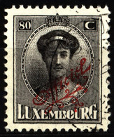 Luxembourg 1922 Mi D124 Grand Duchess Marie Adelaide - Service