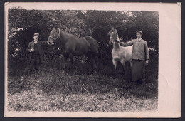 +++ Photo Carte - Foto Kaart - Cachet SENEFFE - Chevaux - 1908  // - Seneffe