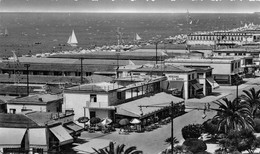 Carte-Photo Viarregio - Viareggio