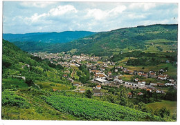 FRESSE SUR MOSELLE - Vue Générale - Fresse Sur Moselle