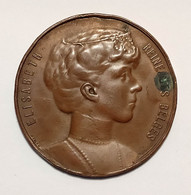 Oude Ancienne Medaille Koningin Elisabeth Reine Des Belges 1924 Fleur De Charite Royalty Belgie Belgique Old Medal - Altri & Non Classificati