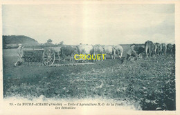 85 La Mothe Achard, Ecole D'Agriculture, Les Semailles, Bel Attelage De Boeufs, Carte Pas Courante - La Mothe Achard