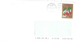 2008 €0,60 COSTITUZIONE ITALIANA - 2001-10: Storia Postale