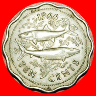 * GREAT BRITAIN (1966-1970): THE BAHAMAS ★ 10 CENTS 1966! FISHES! LOW START ★ NO RESERVE! - Bahama's