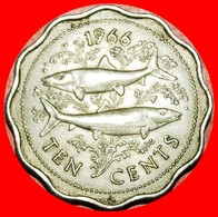 * GREAT BRITAIN (1966-1970): THE BAHAMAS ★ 10 CENTS 1966! FISHES! LOW START ★ NO RESERVE! - Bahamas